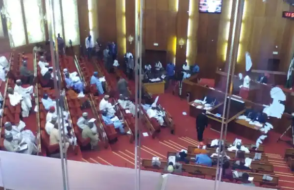 Senate suspends Electoral Act’s amendment